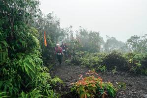 BIB: 
                            <button type="button" onclick="openModal(26271870)" class="btn btn-primary btn-sm float-right btn-popup" data-toggle="modal" data-target=".modal-high-quality">
                        <i class="fas fa-shopping-cart"></i> Add to Cart
                    </button>
                                            <button type="button" onclick="isThisMe(26271870, true)" class="btn btn-success btn-sm float-right btn-popup btn-isme hidden" data-toggle="tooltip" data-placement="bottom" title="นี่คือรูปของคุณใช่ไหม คลิกที่นี่เพื่อเอาเข้าอัลบั้ม">
                        <i class="fas fa-plus"></i> Add to album
                    </button>
                    <button type="button" onclick="isThisMe(26271870, false)" class="btn btn-warning btn-sm float-right btn-popup btn-isnotme hidden">
                        <i class="fas fa-ban"></i> Remove from album
                    </button>